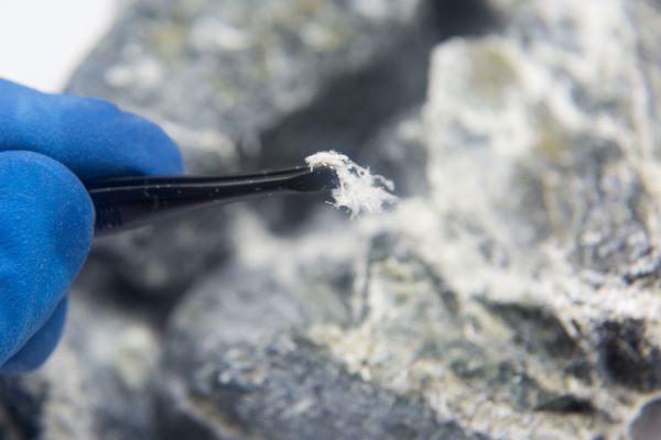 asbestos sampling essex